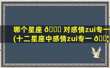 哪个星座 🐘 对感情zui
专一(十二星座中感情zui
专一 🐦 的星座)